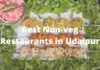 Best Non-veg Restaurants in Udaipur